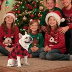 KOOLTAIL Plaid Dog Hoodie Pet Clothes Sweater with Hat and Pocket for Small Medium Large Size Dogs, Soft Winter Warm Dog Cold Weather Coat, Fleece Fall Dog Hooded Sweatshirt for Puppy Cats, Red S