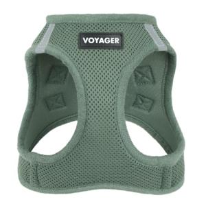 Best Pet Supplies Voyager Step-in Air Harness - All Weather Mesh, Reflective, No Pull Harness for Dogs, Cats - Secure with Hook & Loop Fastener, Buckle, Double D-Rings - Moss Green, S