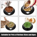 Serentive 2 Pcs Non-Slip Stainless Steel Small Food Bowls - Unbreakable, Thicken Cat Feeder, 7 Oz Dishes - Suitable for Indoor Small Pets - Removable Rubber Base, Easily Clean, Lovely Color
