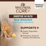 Wellness CORE+ Digestive Health Pate Adult Wet Cat Food, Natural, Protein-Rich, Grain Free, 3 Ounce, 12 Pack (Whitefish)