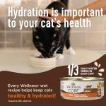 Wellness CORE+ Digestive Health Pate Adult Wet Cat Food, Natural, Protein-Rich, Grain Free, 3 Ounce, 12 Pack (Whitefish)