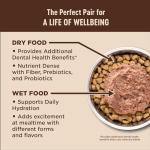 Wellness CORE+ Digestive Health Pate Adult Wet Cat Food, Natural, Protein-Rich, Grain Free, 3 Ounce, 12 Pack (Whitefish)