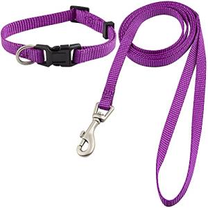 Nylon Dog Collar and Leash Set - Classic Solid Colors for Small, Medium, Large Dogs (Purple, XS, Collar 8-12", 3/8")