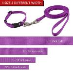 Nylon Dog Collar and Leash Set - Classic Solid Colors for Small, Medium, Large Dogs (Purple, XS, Collar 8-12", 3/8")