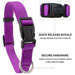 Nylon Dog Collar and Leash Set - Classic Solid Colors for Small, Medium, Large Dogs (Purple, XS, Collar 8-12", 3/8")