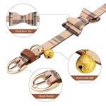 3 PCS Dog Collars for Small Puppy Collar and Leash Set, Bow Tie with Bell, Bandana Leather for Small Dogs Puppies and Cats(Beige)