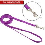 Nylon Dog Collar and Leash Set - Classic Solid Colors for Small, Medium, Large Dogs (Purple, XS, Collar 8-12", 3/8")