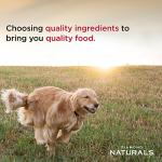 Diamond Naturals Adult Dry Dog Food Lamb Meal and Rice Formula Made with High Quality Lamb Protein, Probiotics and Essential Nutrients to Support Balanced and Overall Health 40Lb