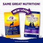 Wellness Complete Health Dry Dog Food, Large Breed, Grain Free, Natural, Chicken Recipe, (24-Pound Bag)