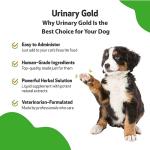 Pet Wellbeing Urinary Gold for Dogs - Vet-Formulated Multi-Herb Urinary Tract Support - Bladder Health & Urinary System Wellness - Natural Dog Supplement - Liquid Formula 2 oz (59ml)