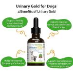 Pet Wellbeing Urinary Gold for Dogs - Vet-Formulated Multi-Herb Urinary Tract Support - Bladder Health & Urinary System Wellness - Natural Dog Supplement - Liquid Formula 2 oz (59ml)