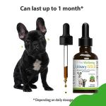 Pet Wellbeing Urinary Gold for Dogs - Vet-Formulated Multi-Herb Urinary Tract Support - Bladder Health & Urinary System Wellness - Natural Dog Supplement - Liquid Formula 2 oz (59ml)