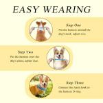 4pcs Dog Collar and Leash Set, Adjustable Puppy Collar and Leash, Anti-Escape, Quick Release, Ensures Comfortable and Flexible Wearing, Suitable for Small and Medium-Sized Pets