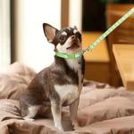 4pcs Dog Collar and Leash Set, Adjustable Puppy Collar and Leash, Anti-Escape, Quick Release, Ensures Comfortable and Flexible Wearing, Suitable for Small and Medium-Sized Pets