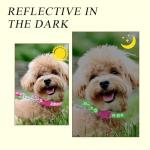 4pcs Dog Collar and Leash Set, Adjustable Puppy Collar and Leash, Anti-Escape, Quick Release, Ensures Comfortable and Flexible Wearing, Suitable for Small and Medium-Sized Pets