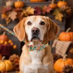 KOOLTAIL Thanksgiving Dog Collar and Leash Set with Bow Tie & Bells for Small Dogs-Fall Puppy Collar and Leash with Dog Bandana Collar, Soft Leather Tangle Free Leashes for Boys Girls Cats