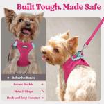 rabbitgoo Dog Harness Small Sized and Leash Set, Step in Soft Light Puppy Vest, Breathable Mesh Pet Harness, Reflective for Safe Easy Walking, Rose Red S