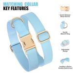 PET ARTIST Soft PU Leather Dog Collar and Leash Set, Bright & Stylish 5FT PU Leather Leash and Collar Set, Durable Pet Collars with Quick Release Metal Buckle for Small Dogs,Blue,S(9"-14")