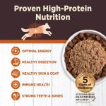 Wellness CORE Digestive Health Chicken Grain Free Wet Dog Food, 13 Ounce Can (Pack of 12)