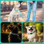 Kuley AirTag Dog Collar and Reflective Leash Set Bundle with Airtag Holder Case,Adjustable Padded Nylon Pet Collar for Small Medium Large Dogs(Teal, Large)