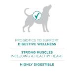 Purina One Plus Digestive Health Formula Dry Dog Food Natural with Added Vitamins, Minerals and Nutrients - 16.5 Lb. Bag