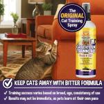 Bodhi Dog 3-in-1 Cat & Kitten Training Aid - Cat Deterrent Spray for Indoor and Outdoor Use - Protect Furniture, Rugs and Plants - Establish Boundaries & Keep Felines Off - Made in USA (8 Fl Oz)