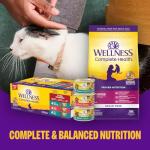 Wellness Complete Health Pate Adult Wet Cat Food, Natural, Protein-Rich, Grain Free, 12.5 Ounce, 12 Pack, (Beef & Chicken)