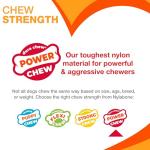 Nylabone Lobster Power Chew Toy for Dogs, Dog Toys for Aggressive Chewers, Filet Mignon Flavor, Small Dogs - Up to 25 Ibs, 1 Count