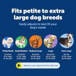 PetSafe Easy Walk No-Pull Dog Harness - Medium/Large