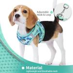 Jolifield Step in Dog Harness with Leash Set, Adjustable Soft Padded and Breathable Mesh for Small Sized Dog, Reflective No Pull No Choke Cat Vest Harness, Easy Control Pet Vest, Teal L