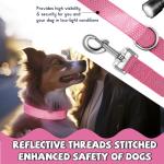 Pawhuggies Reflective Dog Collar and Leash Set, Nylon Dog Leash with Heavy-Duty Steel D-Ring, Adjustable with Quick Release Buckle for Small Dogs, Pink S