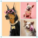 Hillban Dog Chain Golden Diamond Collar with Pet ID Jewelry Tags Rhinestones Stainless Steel Metal Link Collar Walking Chain Necklace for Puppy Boys Girls Small Dogs(8 Inch)