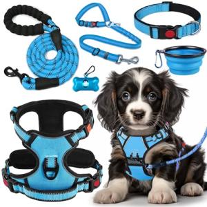 LOBEVE No Pull Dog Harness, Collar & Leash Set | Includes Dog Seat Belt, Collapsible Bowls & Poop Bag Dispenser. Ideal for Training, Walking, Hiking. Fits Small to Large Dogs(Blue-S)