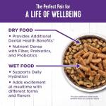 Wellness Complete Health Sliced Adult Wet Cat Food, Natural, Protein-Rich, Grain Free, 3 Ounce, 24 Pack, (Chicken Entrée)