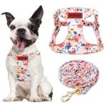 No Pull Dog Harness Adjustable Small Harness and Leash Set, Lightweight and Soft Dog Harness No Choke Escape Proof Pet Harness Vest (Orange Rose, S)