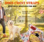 No Pull Dog Harness Adjustable Small Harness and Leash Set, Lightweight and Soft Dog Harness No Choke Escape Proof Pet Harness Vest (Orange Rose, S)