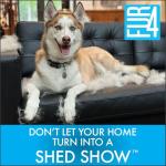 FUR4 deShedding Dog Brush for Short Hair Dogs – Pet Hair Brush with 4 Carbon Fiber Edges – deShedding Tool Removes Loose Fur – Gentle & Effective Dog Grooming Brush for Shedding