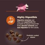 Wellness CORE Digestive Health Dry Dog Food, Small Breed, Wholesome Grains, Natural, Recipe for Dogs with Sensitive Stomachs, Chicken, (12-Pound Bag)