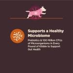 Wellness CORE Digestive Health Dry Dog Food, Small Breed, Wholesome Grains, Natural, Recipe for Dogs with Sensitive Stomachs, Chicken, (12-Pound Bag)