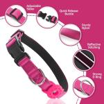 Kuley AirTag Dog Collar and Reflective Leash Set Bundle with AirTag Holder Case,Adjustable Padded Nylon Pet Collar for Small Medium Large Dogs(Pink, Large)
