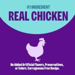 Wellness Complete Health Pate Adult Wet Cat Food, Natural, Protein-Rich, Grain Free, 3 Ounce, 24 Pack, (Chicken & Lobster)