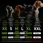 Fitwarm Dog Plaid Shirts Doggie Clothes Puppy Hoodies Cat Hooded T Shirts Pet Outfits Cotton Orange XS