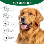 Calming Chews for Dogs - Advanced Hemp Dog Calming Treats Help with Dog Anxiety Relief, Separation, Stress, Barking, Fireworks, Composure - Natural Pet Supplements for Health & Wellness 180 Soft Chews