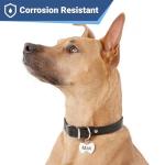 GoTags Stainless Steel Pet ID Tags, Personalized Dog Tags and Cat Tags, up to 8 Lines of Custom Text, Engraved on Both Sides, in Bone, Round, Heart, Bowtie and More (Bow Tie, Regular (Pack of 1))