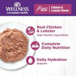 Wellness Complete Health Pate Adult Wet Cat Food, Natural, Protein-Rich, Grain Free, 12.5 Ounce, 12 Pack, (Chicken & Lobster)