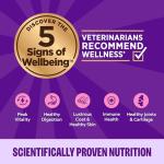 Wellness Complete Health Pate Adult Wet Cat Food, Natural, Protein-Rich, Grain Free, 12.5 Ounce, 12 Pack, (Chicken & Lobster)