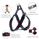 Premium and Stylish Dog Collar Harness and Leash,Soft Comfortable，Chest Adjustable Pet Harness,Luxury Fashion Dog Harness Leashes Set Gift for Puppy Small Dogs