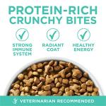 Purina ONE Sensitive Stomach, Sensitive Skin, Natural Dry Cat Food, +Plus Sensitive Skin and Stomach Formula - 22 lb. Bag