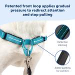 PetSafe Easy Walk Deluxe Dog Harness, No Pull Dog Harness – Perfect for Leash & Harness Training – Stops Pets from Pulling and Choking on Walks – Medium/Large, Ocean