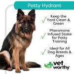 Vet Worthy Pet Potty Hydrant for Dogs - Scented Training Aid - Ideal for All Ages - Helps Dogs Track Designated Potty Spot - For a Cleaner Lawn and Safe for Dogs